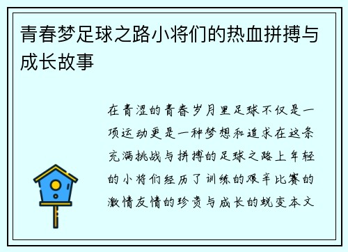 青春梦足球之路小将们的热血拼搏与成长故事