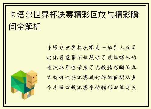卡塔尔世界杯决赛精彩回放与精彩瞬间全解析